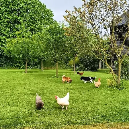 L'ecurie D'antan Nyaraló *