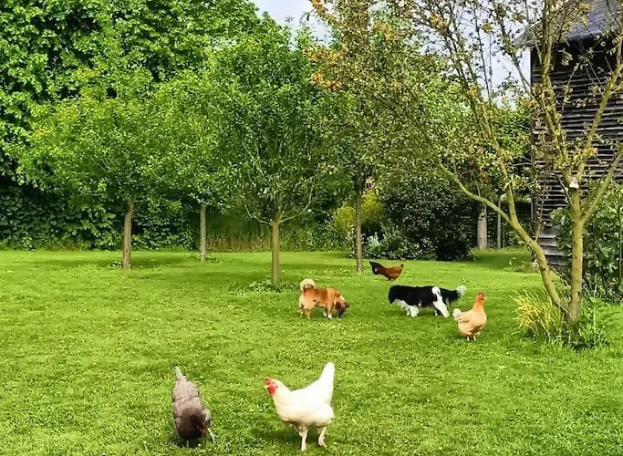 L'ecurie D'antan Dom wakacyjny *