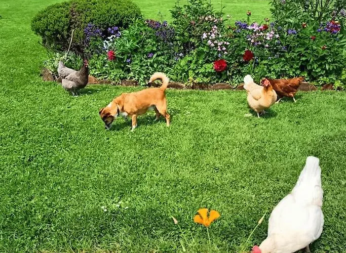 Dom wakacyjny L'ecurie D'antan Hautot-Saint-Sulpice